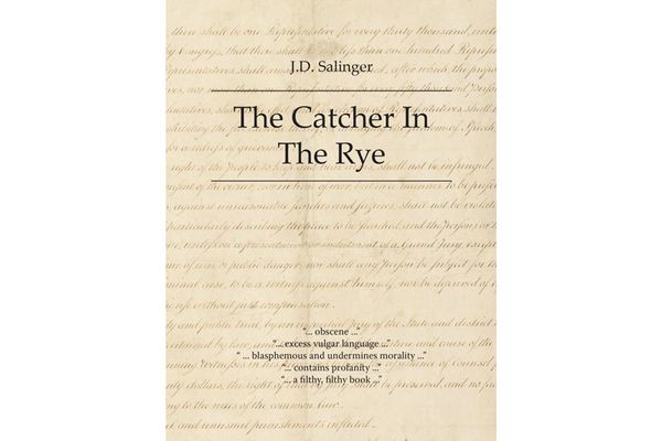 catcher cover